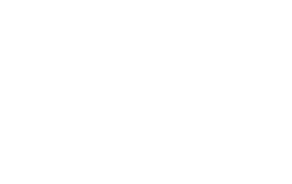 Embroidery Solutions Logo